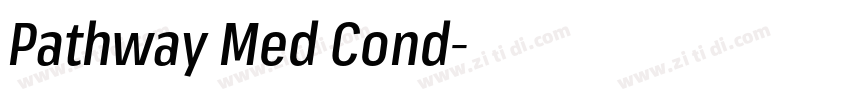 Pathway Med Cond字体转换 Pathway Med Cond字体转换